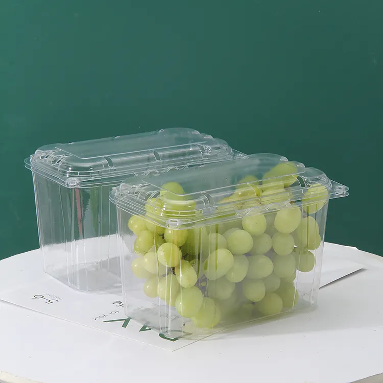 Maßge schneiderte recycelbare klare Gemüse Kunststoff Clam shell Box Verpackung Haustier Salat behälter mit Deckel Kunststoff Obst behälter Haustier