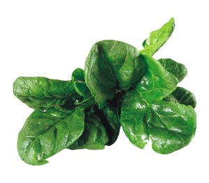 Poudre d'extrait d'épinard vert séché, très vendue, 100% biologique et poudre de légumes séchés à prix compétitif - Product Image 2