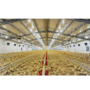 Easy Clean Chicken Hens <strong>Cages</strong> Boiler Chicken Coop - Product Image 3