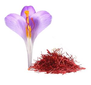 Samger — Saffron frais de haute qualité, fournitures en livraison depuis l'inde, de qualité supérieure - Product Image 1