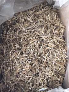 Pescado de anchoa seco sin cabeza, 100% orgánico - Product Image 6