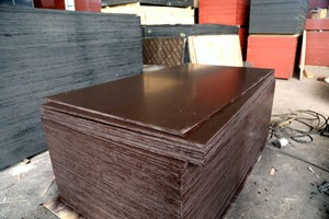 Película de madera contrachapada de 18mm, alta calidad, para construcción, hecho en Vietnam - Product Image 4