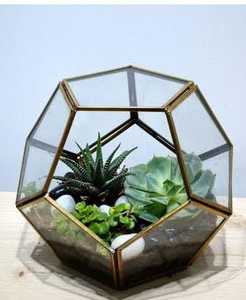 บ้านหรูสไตล์นอร์ดิกสีดำรูปร่าง Terrarium สำหรับตกแต่งบ้านโรงแรมสำนักงานและสปา - Product Image 6