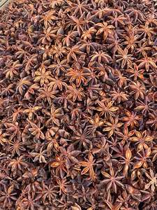 Top sale Vietnam high quality natural star anise for export - Buynow +84968120420 - Product Image 2