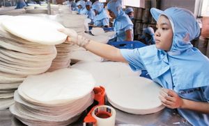 Papier de riz séché vietnamien pour adultes pour rouleaux de printemps tailles 16cm/18cm/22cm/31cm/32cm (W/A) Meilleur fournisseur en gros - Product Image 4