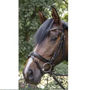 Micklem Bride de cheval en cuir indien de haute qualité avec boucles en acier inoxydable Bracelet à sourcils en forme de vague en cuir verni - Product Image 1