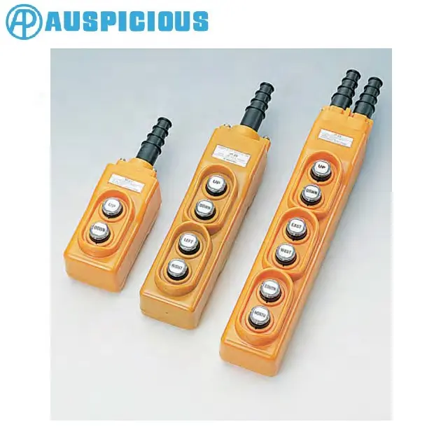 AP Auspicious Direct Operation Hoist <strong>Push</strong> <strong>Button</strong> Pendant <strong>Switch</strong> <strong>5A</strong> 220VAC -15~70C W/P (COB23) TW