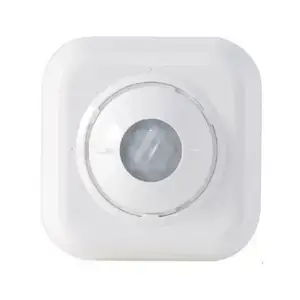 Best Deal 360 Graden View Pir Plafondlamp & Motion Sensor