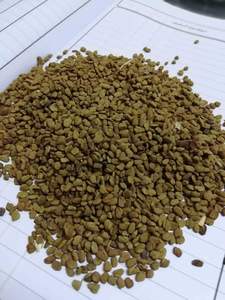 Graines de fenugrec - Product Image 3