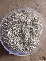 Meilleur prix pour poivre blanc séché en usine 630 GL, doublement lavé, traitement brut, directement du Vietnam Binh Phuoc, durée de conservation de 2 ans