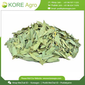 Mejor Venta de hojas de Senna Extracto de hierbas Proveedor de suplementos Fabricante DE LA India - Product Image 6