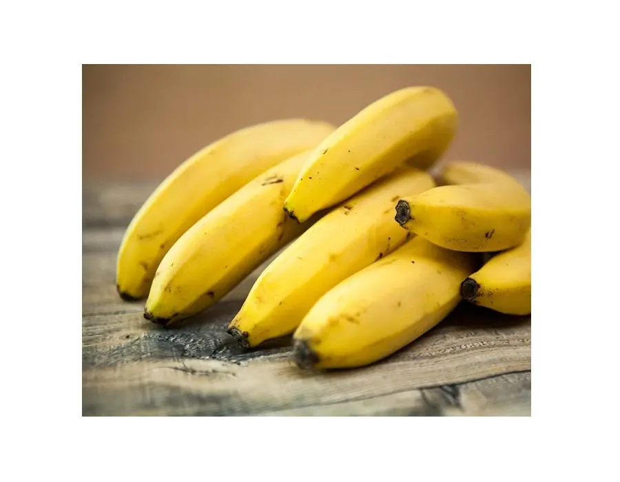 High quality banana cavendish export to EU, USA, Korean, Japan - Wholesale for banana puree - Vietnam fresh, frozen banana