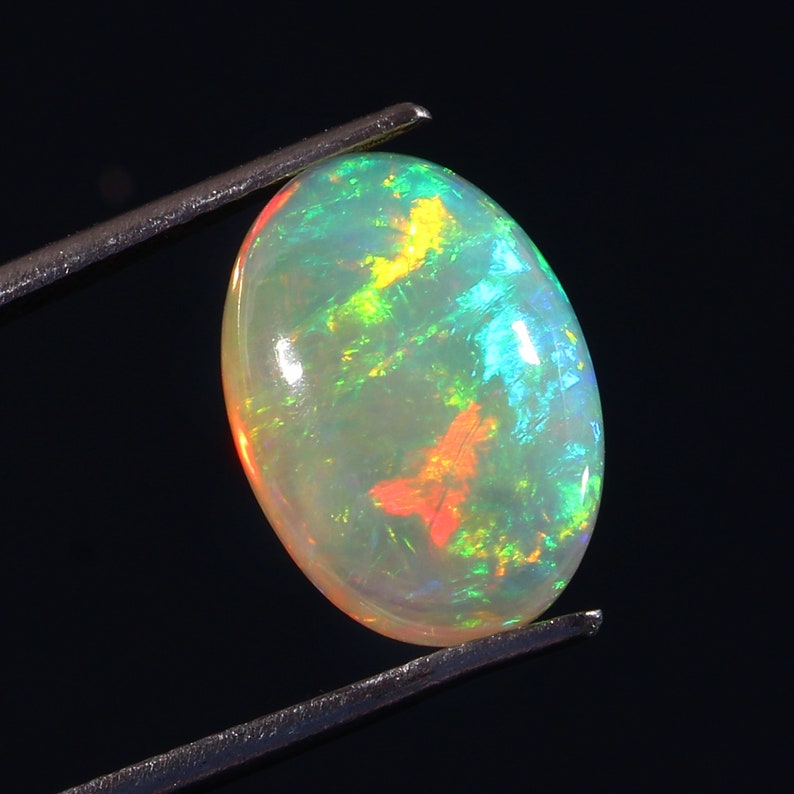 Multi Cololur