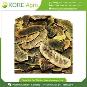 Senna Pods 100% puro y Natural, calidad Superior, venta al por mayor, precio asequible - Product Image 4