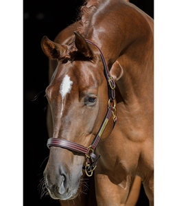 Chất Lượng Tốt Nhất-Đệm Da Ngựa Halter-Khâu Trắng-Tấm Tên Chất Liệu Đồng Thau-Đệm Mũi-Băng Và Đầu-Băng - Product Image 3