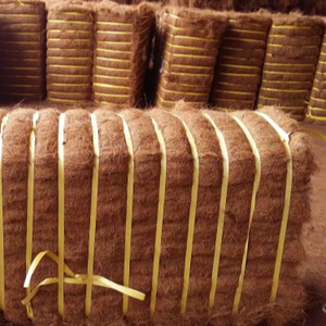 [POUR L'AGRICULTURE] Fibre de noix de coco avec le meilleur prix bon marché de qualité pour faire la corde de fibre de coco _ le plus choix pour vous du Vietnam 2025 - Product Image 4