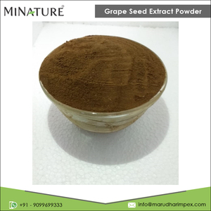 ร้อนขายที่มีคุณภาพสูงขายส่งอุปทานบริสุทธิ์และธรรมชาติสารสกัดจากเมล็ดองุ่นผงจากผู้จัดจำหน่ายอินเดีย - Product Image 2