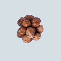 Soedanese Doum Palm, Doum Fruit, Doum Van Directe Middelen In Soedan