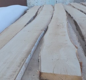 Planche en bois massif de bois russe, 20 pièces, meilleure vente, produit naturel de haute qualité, tulipe - Product Image 2