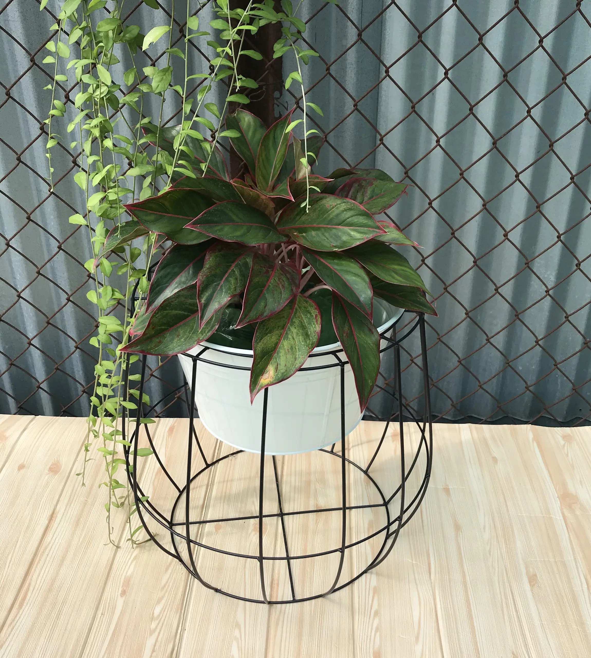 Firecore — pot de planteur galvanisé, ensemble de 2 pots avec support et cadre, couleur de revêtement de poudre