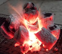 Arang Kayu Bakar Alami BBQ Kayu Keras Arang Aktif Vietnam 7500J Greenfire Vietnam N-10