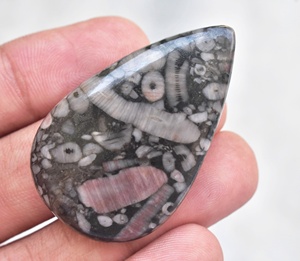 Piedra preciosa natural de coral fósil de crinoide, piedra preciosa semipreciosa de Cindrol, piedra preciosa suelta fósil para joyería - Product Image 4