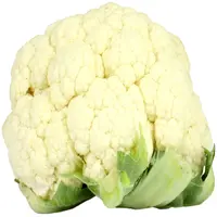 Fresh Cauliflower and Frozen Cauliflower -Fresh Cauliflower vegetable