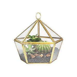 Terrarium en verre géométrique avec cadre doré, design moderne, récipient pour plantes d'intérieur - Product Image 1