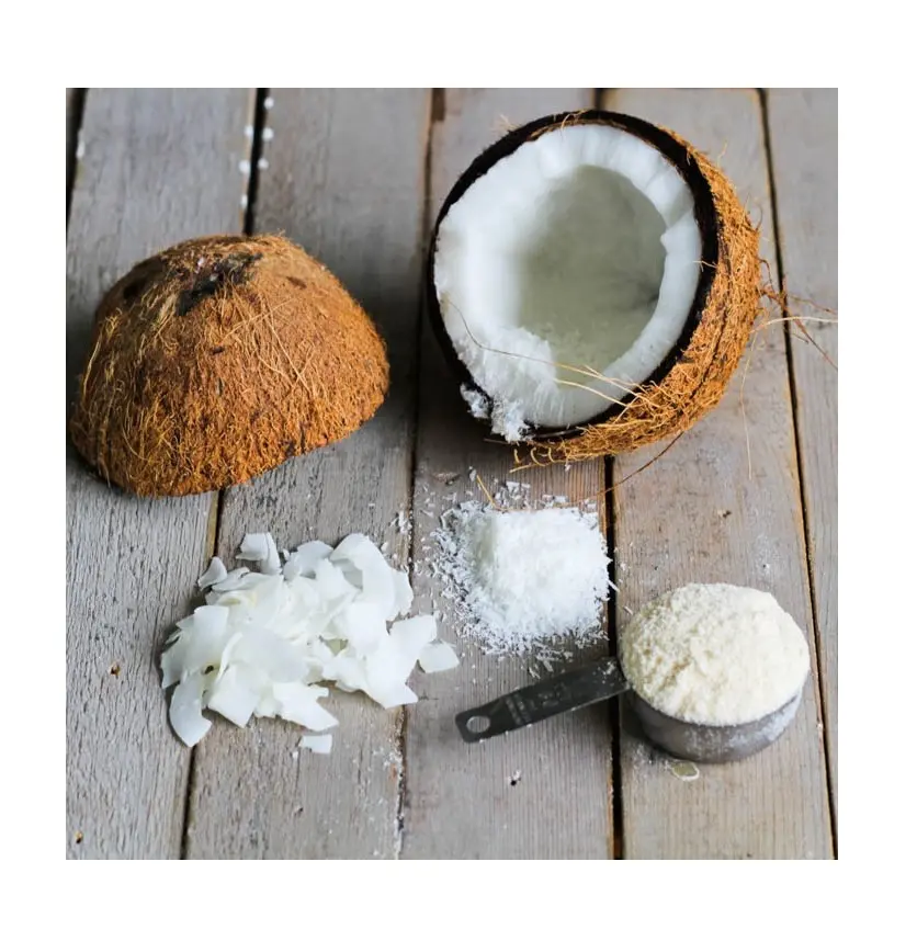 Instant coconut milk powder Vietnam for vegan foods cheap price bulk sale