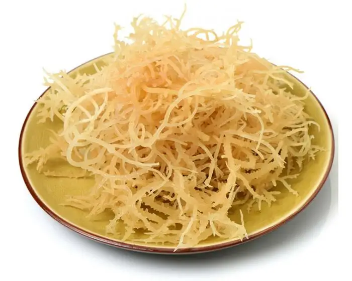 Großhandel Seemoos Blasen tang/Irish Seamoss/Getrockneter Chondrus Crispus kein Salz... Irish Moss Wild crafted