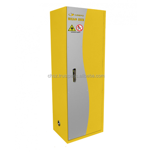 Lunette d'armoire pour le stockage de liquides inflammables avec classe de résistance au feu 90B double verrouillage et palette amovible - Product Image 1