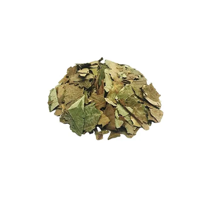 Ceylon-fabricante Natural de hojas de aguacate orgánico puro, gran demanda, venta al por mayor, calidad 100%