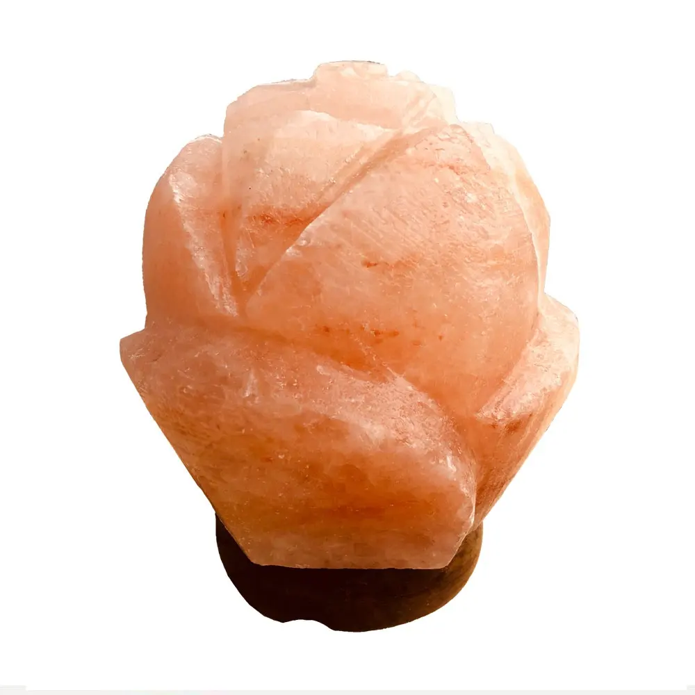 Lampada di sale a forma di rosa realizzata in himalaya rosa chiaro di alta qualità-Sian Enterprises