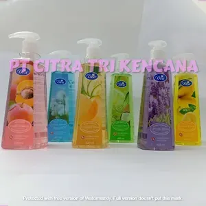 CITRA LIQUID SOAP LABEL CHEAP 400ML BOTTLE DAILY ANTI BACTERIAL FOAM BULK HAND WASH LIQUID GEL FOR Melton AUSTRALIA