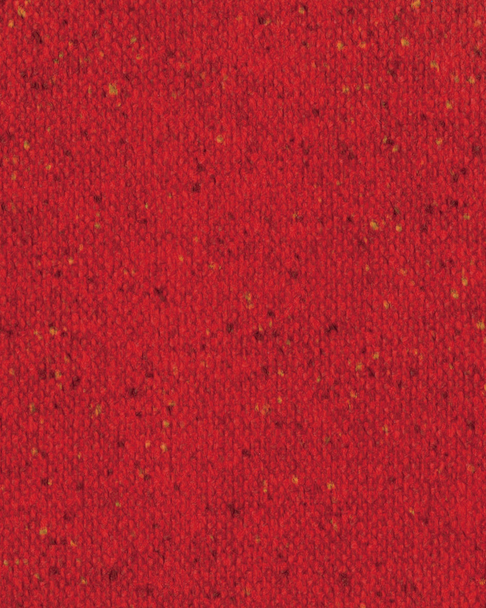 กุหลาบต้นแมดเด