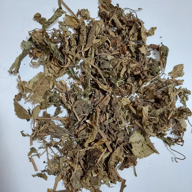 Indonesian Patchouli Leaves Patchoulina Best Quality Pure Direct Manufacturer Factory Best Price Sorted Export Quality