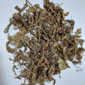 Vente en gros d'indonése en feuille de path38ulina, meilleure qualité, fabricant Direct, prix le plus bas usine - Product Image 1