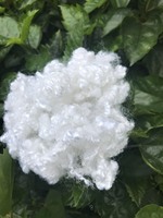 Fibre de polyester de qualité supérieure, fabriquée au Vietnam, recyclée, creuse, conjuguée, blanche, pour le rembourrage de coussins et de meubles