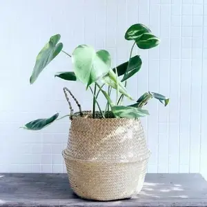 Vietnam Supplier Elegant Seagrass Garden Pots Planters Rattan Home Indoor Flower Pots With Reasonable Price