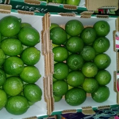 Лучшая цена, продажа Свежего Лайма/лимона, от Вьетнама/янтаря