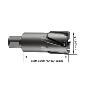 Carbide Annular Cutter 24mm Dia. 35mm Depth Universal/ Weldon Shank Carbide Annular Cutter