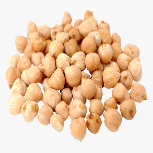 Нут 9. Чана бобовые. нут на белом фоне. нут дези. chickpeas.