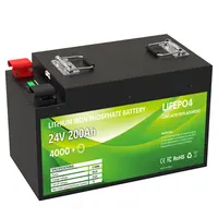 Batterie Lifepo4 Lithium-Ion fer-Phosphate, 24V, 200ah, pour caddie De Golf