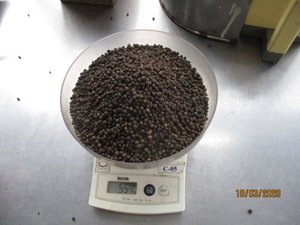 ราคาถูกพริกไทยดำคุณภาพส่งออกหนา - Product Image 5