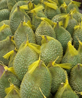Groothandel Vietnam Verse Monthong Durian Premium Kwaliteit Geel Vlees ISO Gecertificeerd Rechtstreeks Van De Producent