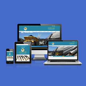 Complete Web Site Design & SEO Services in India | Award Winning Website Design & Development Services by Webroot Infosoft - Product Image 6