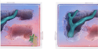 Empire of Ants Mini Taille 8.5X4X6cm Maison pour fourmis classique en plastique écologique Morning Feeling Utilisation quotidienne toutes saisons