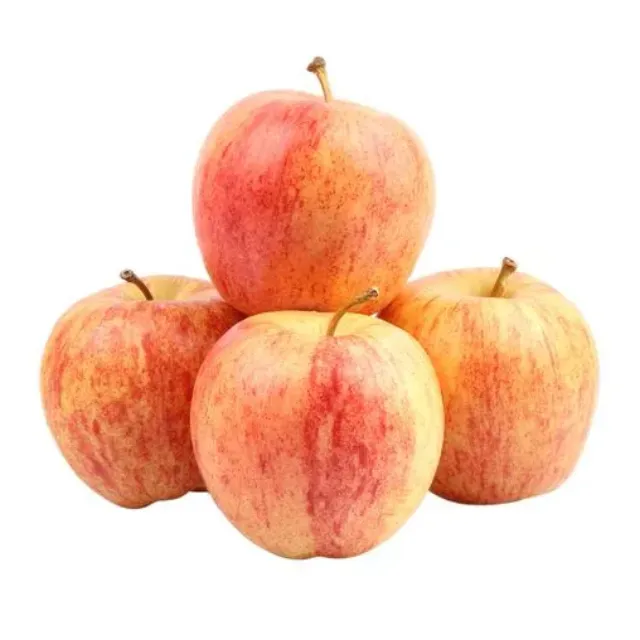 Export 2020 New Crop Fresh Apple Fruit With Good Price Available And Price Fresh Rose Exporters Red Apple Fresh For Sale