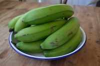 CTC Green Banana-BD Modelo de Origen 2021