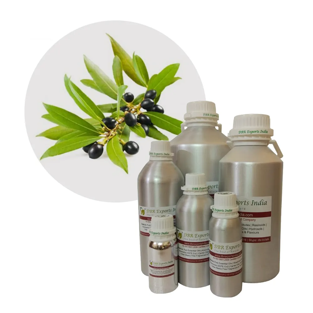 Huile essentielle de Sugandh Kokila, huile naturelle de cannelle glausescens, certifié Sugandh Kokila au prix de gros
